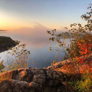 Plants and rocks against sky during sunset