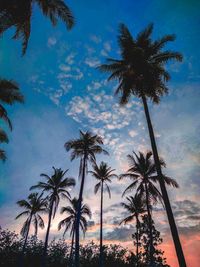 Low angle view of palm trees against sky