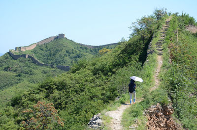 Rear view of woman with umbrella on mountain