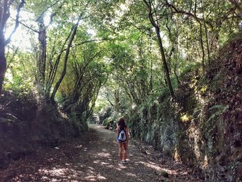 Rear view of woman walking in forest