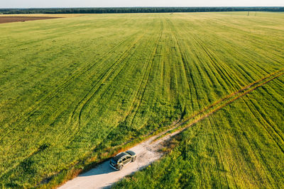 High angle view of agricultural field