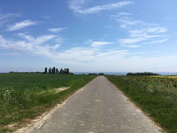 Road passing through field