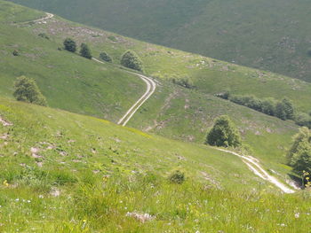 High angle view of landscape