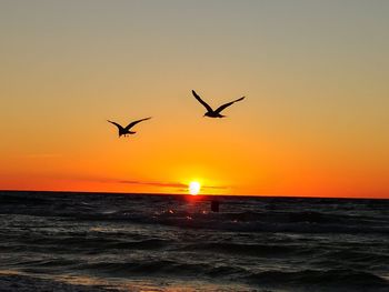 Silhouette birds flying over sea against sky during sunset