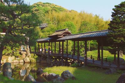 Bridge over river amidst trees