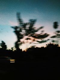 Silhouette of trees at night