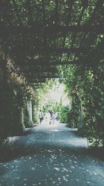 Road passing through trees