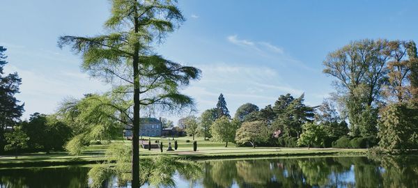 Scenic view of lake by trees against sky