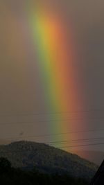 Rainbow over trees against sky