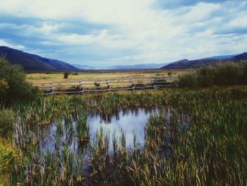 Scenic view of landscape against cloudy sky