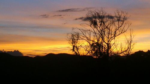 Silhouette bare tree against orange sky