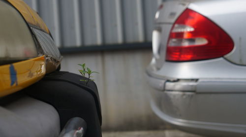 Close-up of man driving car