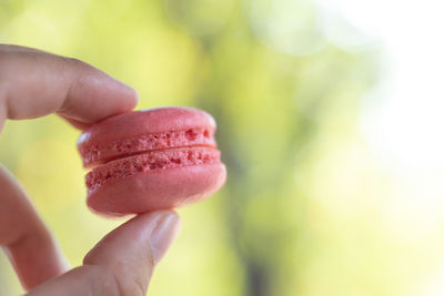 Close-up of hand holding macaroon