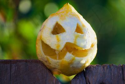 Close-up of orange fruit on wood