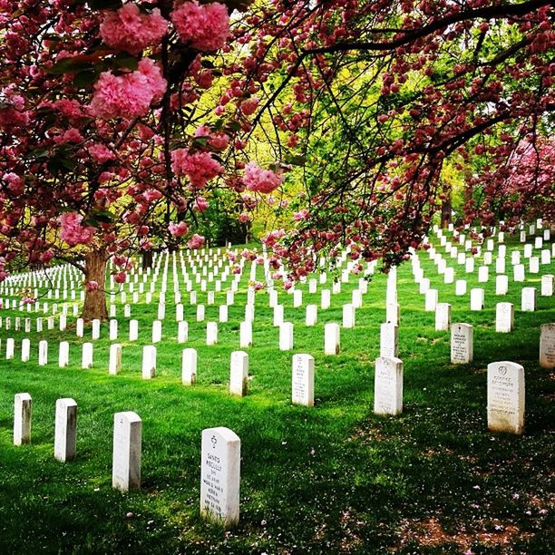 Arlingtoncemetery