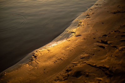 High angle view of footprints on sand at beach