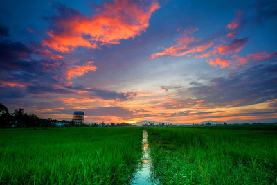 Scenic view of agricultural field against sky during sunset