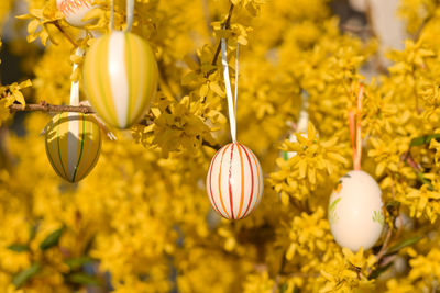 Easter eggs hanging on tree