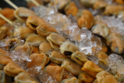 Full frame shot of seafood for sale at market