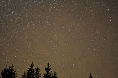 Low angle view of stars in sky