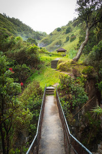 Scenic view of landscape