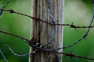 Close-up of barbed wire fence