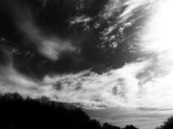 Low angle view of silhouette trees against sky