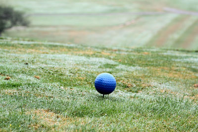 Blue golf ball on a peg on a foggy day