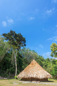 Hut on field by trees against sky