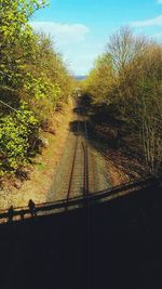 View of railroad tracks along trees