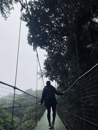 Rear view of man standing on street amidst trees in forest