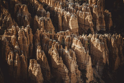 Detail of bryce canyon from bryce point at sunset