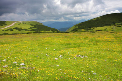 Scenic view of landscape against cloudy sky