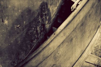 Close-up high angle view of starfish on wood