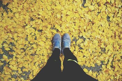 Low section of woman standing on yellow autumn leaves