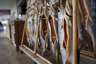 Dry salmons hanging for sale at fish market