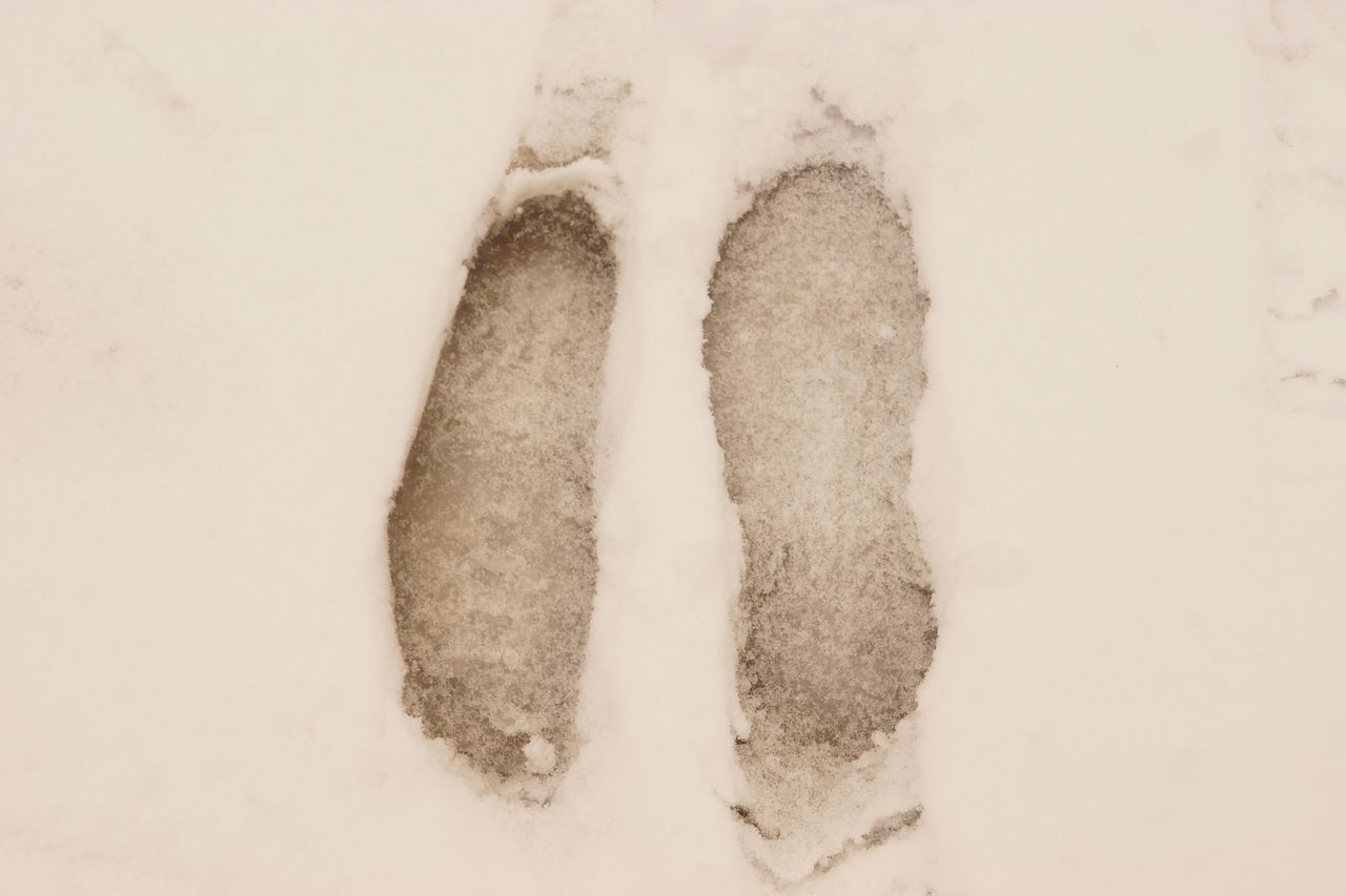 HIGH ANGLE VIEW OF LEGS ON WHITE BACKGROUND