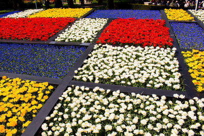 High angle view of flowers in market