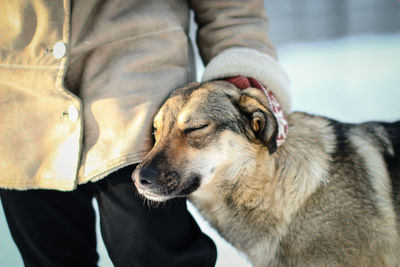 Close-up of dog with owner during winter