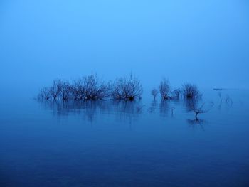Scenic view of lake against clear blue sky