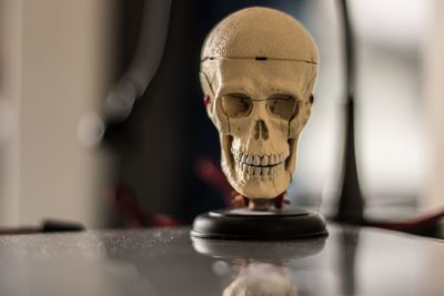 Close-up of skull on table
