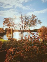 Trees by lake against sky during autumn