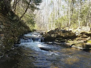 River flowing through rocks in forest