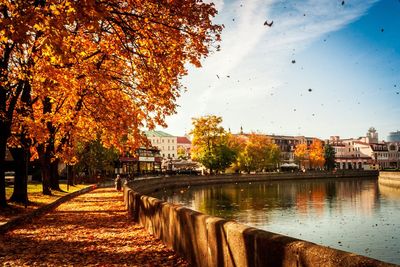 Scenic view of river by trees against sky during autumn