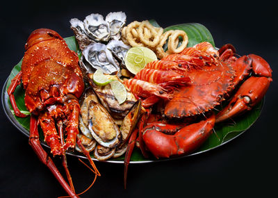 Close-up of seafood in plate against black background