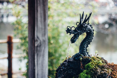 Close-up of a dragon head statue 