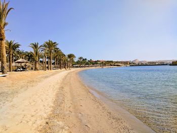 Scenic view of beach against clear sky