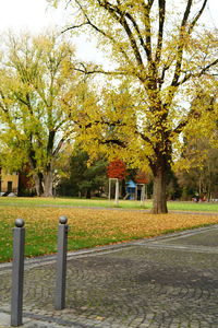 Footpath by trees in park during autumn