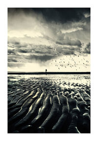 Scenic view of wet beach and sea against sky