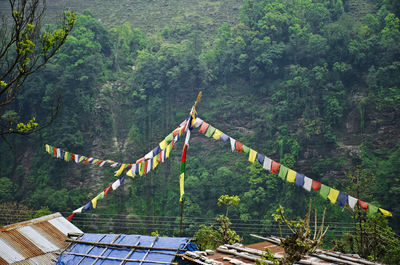 Clothes hanging on tree mountain